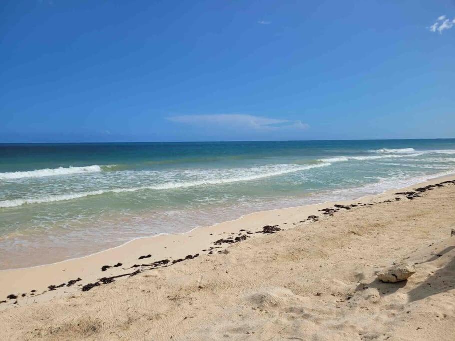 Luxury 5-Br Beachfront Home In Tulum Casa Sofia Gato المظهر الخارجي الصورة